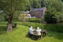 A Historic Tour of Royal Forest of Dean