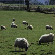 National Museum of Rural Life,  East Kilbride 