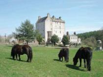 Delgatie Castle, Turriff 