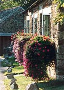 Coombe Farm, nr Looe 