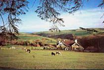 Coombe Farm, nr Looe 