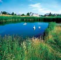 London Wetland Centre, Barnes 