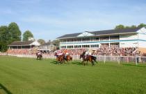 Royal Windsor Racecourse, Windsor 