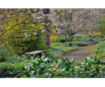 Beth Chatto Gardens, Colchester 