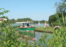 Fairhaven Woodland and Water Garden, Norwich 