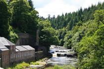 Kirkfield Gardens, Lanark 