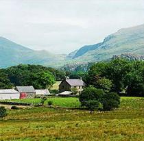 Quality Cottages, Haverfordwest 