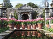 Arundel Castle and Gardens, Arundel 