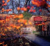 Alnwick Garden, Alnwick 