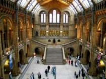 Natural History Museum, South Kensington 