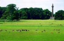 Holkham Hall, Wells next the Sea 