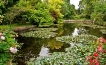 Spetchley Park Garden, Worcester 