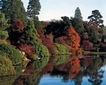 Sheffield Park Garden, Sheffield Park