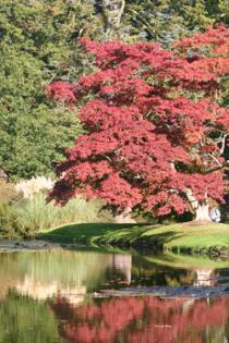 Sheffield Park Garden, Sheffield Park 