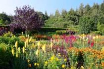 RHS Garden Rosemoor, Great Torrington 