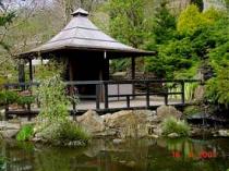 The Japanese Garden & Bonsai Nursery, Newquay 