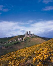  Corfe Castle<br>NATIONAL TRUST, Purbeck 