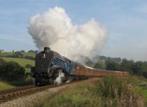 North Yorkshire Moors Railway, Pickering 