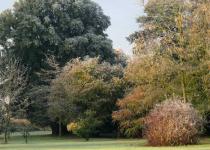 Frampton Court, Frampton on Severn 