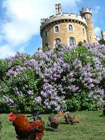 Belvoir Castle, Grantham 