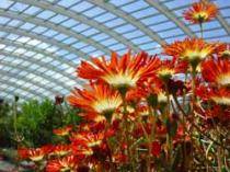 National Botanic Garden of Wales, Llanarthne 