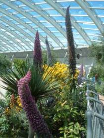 National Botanic Garden of Wales, Llanarthne 