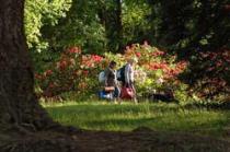 Bedgebury National Pinetum & Forest , Cranbrook 