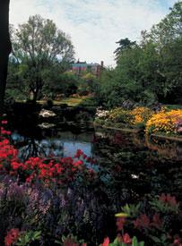 Hodnet Hall Gardens, Market Drayton 