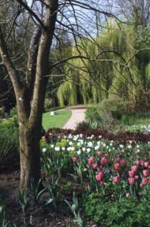 Pashley Manor Gardens, Ticehurst 